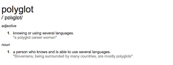 polyglot definition