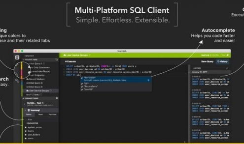Team SQL DB Client