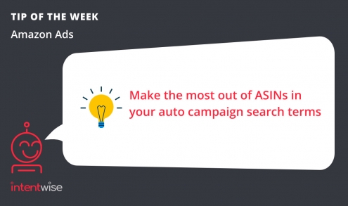 Auto campaign search terms